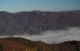 Pensiune-Restaurant Straja, 3 stele, 14 camere