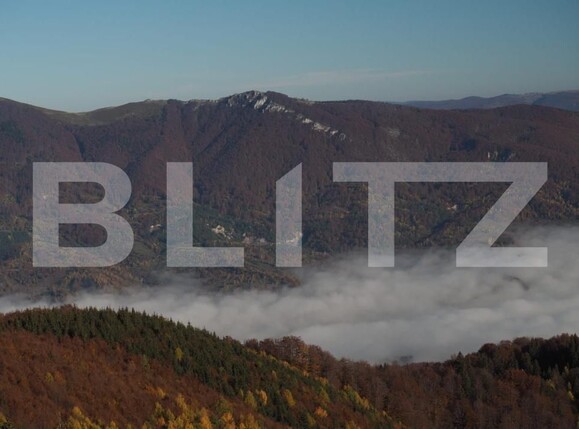 Spațiu comercial de vânzare Brazda lui Novac - 184727SVC | BLITZ Craiova | Poza19