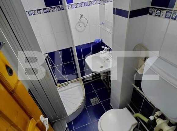 Spațiu comercial de vânzare Brazda lui Novac - 184727SVC | BLITZ Craiova | Poza19