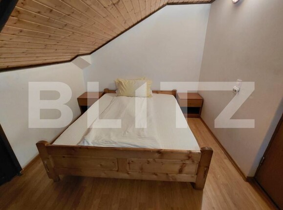 Spațiu comercial de vânzare Brazda lui Novac - 184727SVC | BLITZ Craiova | Poza7