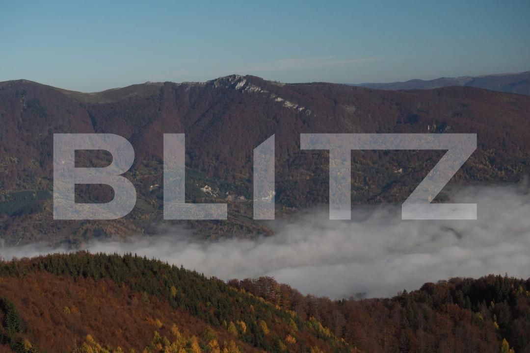 Spațiu comercial de vânzare Brazda lui Novac - 184727SVC | BLITZ Craiova | Poza4