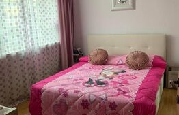 Apartament 2 camere semidecomdat parter, 55 mp, Bals