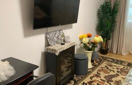 Apartament 2 camere semidecomdat parter, 55 mp, Bals