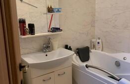 Apartament 2 camere semidecomdat parter, 55 mp, Bals