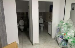 Spațiu comercial, 106.43 mp, oras Balș 