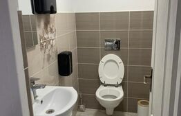 Spațiu comercial, 106.43 mp, oras Balș 