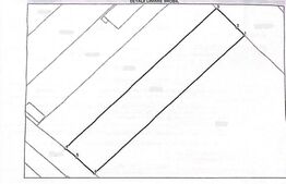 Teren de vânzare Pielești - 186521TV | BLITZ Craiova | Poza3