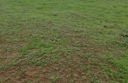 Teren de vânzare Sud - 166477TV | BLITZ Craiova | Poza5