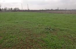 Teren intravilan Ghercești - 1000mp