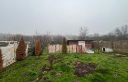 Casa 6 camere + anexa, 811 mp teren, zona Leamna de Sus 