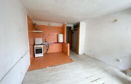 Garsoniera de vanzare, 25 mp, zona Lapus 