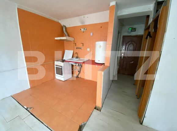 Garsonieră de vânzare Lapus - 184838AV | BLITZ Craiova | Poza3