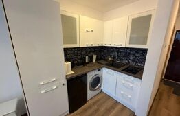 Garsoniera de vanzare, 29 mp, zona Calea Bucuresti  Rotonda