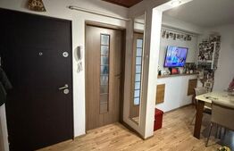 Apartament 2 camere, 48.91 mp, zona Părculeț Lăpuș
