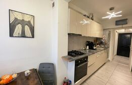 Apartament 2 camere, 50 mp, zona Institut 