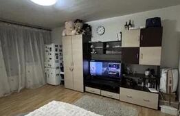 Garsoniera de vanzare, 28 mp, zona Brazda lui Novac - Piata Novac