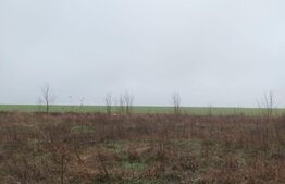 Teren intravilan, Pielesti, 5025mp, deschidere 22,3mp, zona Pusauto, DN65