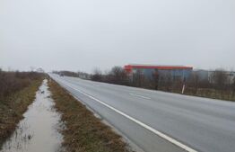 Teren intravilan, Pielesti, 5025mp, deschidere 22,3mp, zona Pusauto, DN65