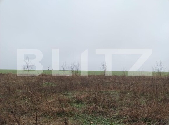 Teren de vânzare Pielești - 184941TV | BLITZ Craiova | Poza2