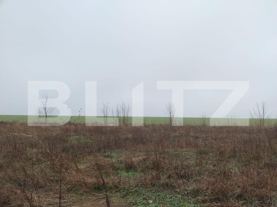 Teren de vânzare Pielești - 184941TV | BLITZ Craiova | Poza2