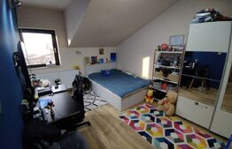 Casa moderna P+M, Banu Maracine, 480 mp curte, 220 mp utili