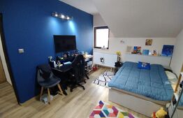 Casa moderna P+M, Banu Maracine, 480 mp curte, 220 mp utili