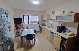 Casa moderna P+M, Banu Maracine, 480 mp curte, 220 mp utili