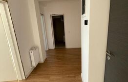 Apartament 2 camere, decomandat, 62 mp, cartier Veteranilor, parcul N. Romanescu