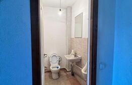 Hala de vanzare, 360 mp, zona Brestei