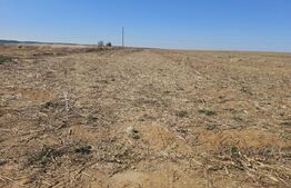 Teren intravilan, 500 mp, zona Isalnita