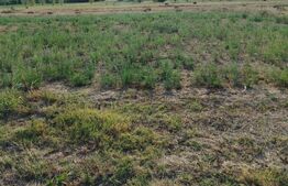 Teren de vânzare Popoveni - 169151TV | BLITZ Craiova | Poza1