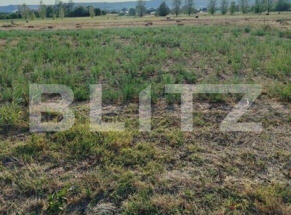 Teren de vânzare Romanesti - 185185TV | BLITZ Craiova | Poza1