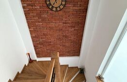 Casa P+1, piscina, 140 mp utili, 565 mp teren, zona Ford