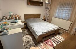 Casa P+1, piscina, 140 mp utili, 565 mp teren, zona Ford