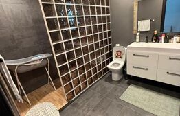 Casa P+1, piscina, 140 mp utili, 565 mp teren, zona Ford