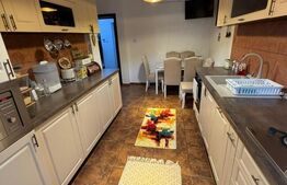 Casa P+1, piscina, 140 mp utili, 565 mp teren, zona Ford