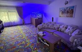 Casa P+1, piscina, 140 mp utili, 565 mp teren, zona Ford