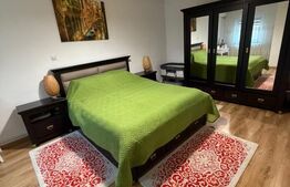 Casa P+1, piscina, 140 mp utili, 565 mp teren, zona Ford