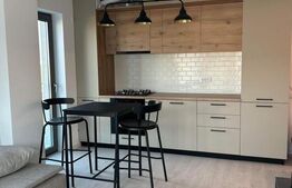 Studio 37 mp +22 mp terasa, bloc nou, Brazda lui Novac