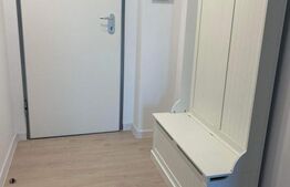 Studio 37 mp +22 mp terasa, bloc nou, Brazda lui Novac