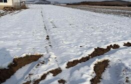 Teren 2250 mp , la intrarea in Filiasi