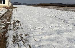 Teren 2250 mp , la intrarea in Filiasi