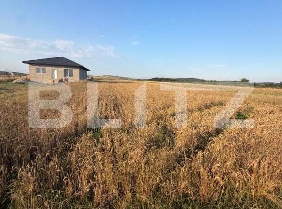 Teren de vânzare Filiaşi - 185288TV | BLITZ Craiova | Poza3