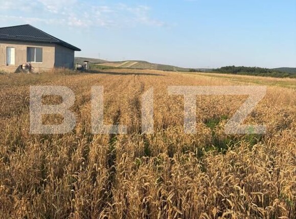 Teren de vânzare Filiaşi - 185288TV | BLITZ Craiova | Poza1