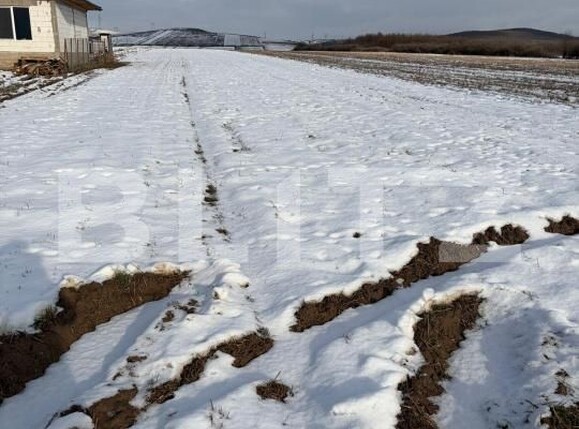 Teren de vânzare Filiaşi - 185288TV | BLITZ Craiova | Poza3