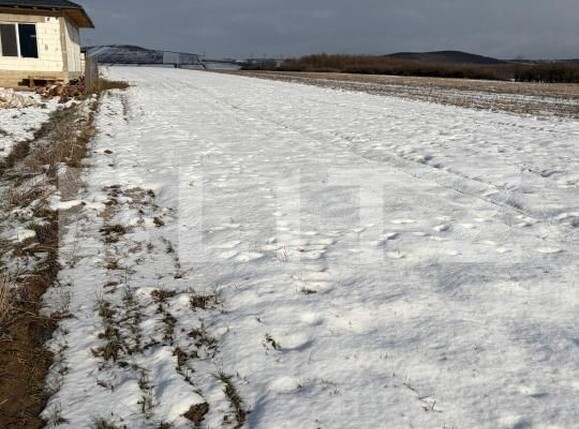 Teren de vânzare Filiaşi - 185288TV | BLITZ Craiova | Poza2