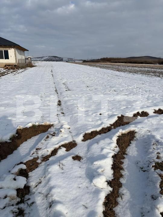 Teren de vânzare Filiaşi - 185288TV | BLITZ Craiova | Poza3