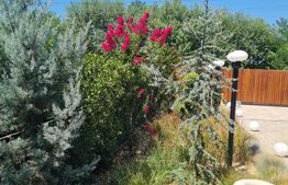 Casă P+1E, 4 dormitoare, teren 590 mp, zona Leamna de Jos