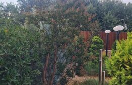 Casă P+1E, 4 dormitoare, teren 590 mp, zona Leamna de Jos