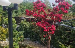 Casă P+1E, 4 dormitoare, teren 590 mp, zona Leamna de Jos